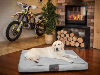 Hundematratze, Hundebett, Farbe Asche