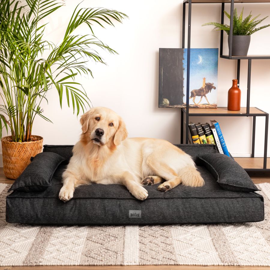 Hundebett 