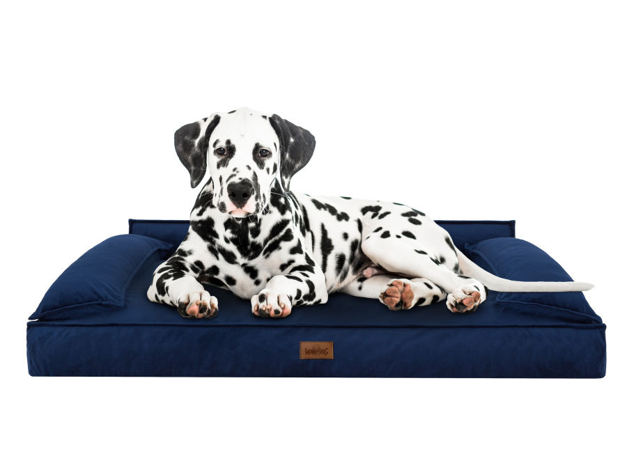Hundebett 