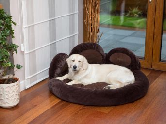 Hundebett, Hundematratze "Pfoten", Farbe braun