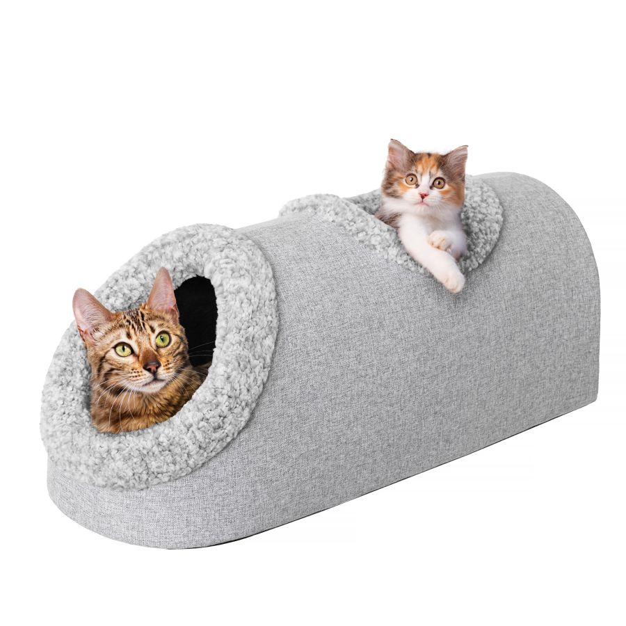 Katzenkiste 