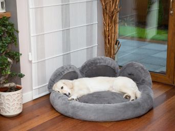 Hundebett, Hundematratze "Pfoten", Farbe grau